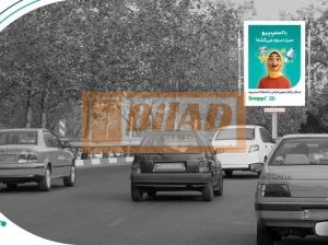 استرابورد، آرژانتین، بعد پارک سوار بیهقی، رسالت