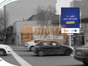 استرابورد، تقاطع مولوی و وحدت اسلامی